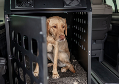 Hochwertige Hundeboxen aus Aluminium